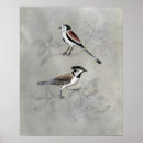 Recherche de aviaire art Domestique