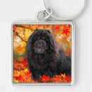 Recherche de chow chow porteclés Chien