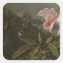 Suche nach kolibris aufkleber Natur