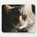 Recherche de visage tapis souris Friend