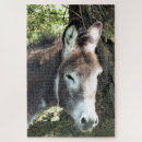 Recherche de donkey puzzles Cute