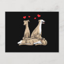Suche nach sighthound poster Galgo español