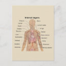 Recherche de interne anatomie posters Graphique