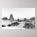 Suche nach kanone poster Fotografie