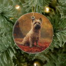 Recherche de terrier de cairn ornements Animal de compagnie