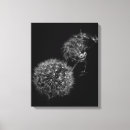 Suche nach von der luft leinwandbilder Blumen