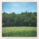 Suche nach cornfield poster Ländlich