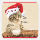 Recherche de chaton adorable autocollants Amoureux de les chats