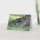 Suche nach gefühl für karten Natur