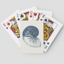 Recherche de requin t jeux de cartes Vie marine