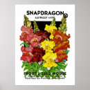Recherche de paquet posters Jardin