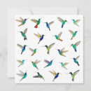 Recherche de oiseau exotique invitations Coloré