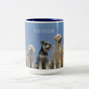 Recherche de chiens de race tasses Maman de chien