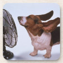 Suche nach jagdhund untersetzer Dachshund