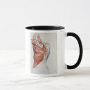 Recherche de ang tasses David