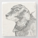 Suche nach labrador untersetzer Welpe