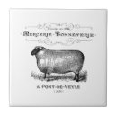 Recherche de moutons noirs carreaux Ferme