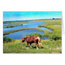 Suche nach chincoteague pony postkarten Strand