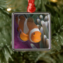Suche nach anemonen ornamente Clownfisch