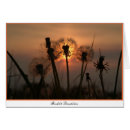 Suche nach backlit Sonnenaufgang
