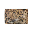 Suche nach leopardpelz haustier wohnen zuhause Leopardstellen