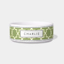 Recherche de points sages maison deco Vert sauge