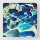 Recherche de coquilles de mer horloges Bleu