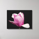Suche nach rosa magnolien leinwandbilder Elegant