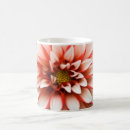 Recherche de dahlia tasses Fleurs