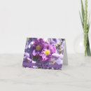 Suche nach lila rose karten Mauve
