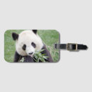 Suche nach panda gepäckanhänger Modern