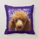 Suche nach pudel kissen Rosa