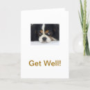 Suche nach cavalier king charles spaniel karten Hund