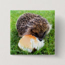 Suche nach igel buttons Lustig