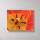 Suche nach flammer poster leinwandbilder Gelb