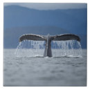 Suche nach bewegung fliesen Horizontal