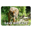 Recherche de sumatra magnets Toute personne