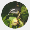 Suche nach fotografie aufkleber Natur