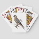 Recherche de proie jeux de cartes Oiseau