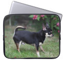 Recherche de chiwawa ordinateurs portables protections Position