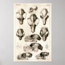 Suche nach monkeys poster Vintage