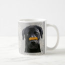 Recherche de labrador noir tasses Antiquité