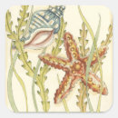 Recherche de ocean autocollants Étoile