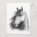 Suche nach graphit poster Pferd