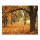 Suche nach großes format poster Herbst