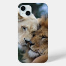 Recherche de lions coques Faune