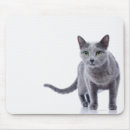 Recherche de russe bleu tapis souris Félin