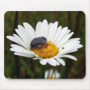 Suche nach gepunktete mousepads Blume