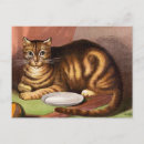 Suche nach vintage cat postkarten Tiere