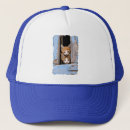 Recherche de fenêtre casquettes Chat